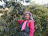 A Lisu woman picks coffee beans